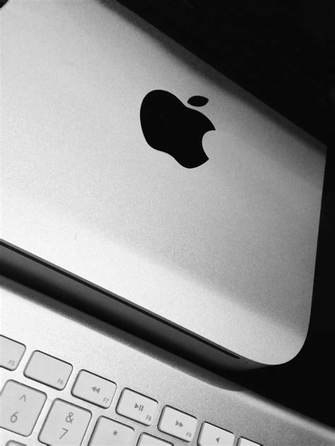 janphotoaday  apple mini  wireless  flickr