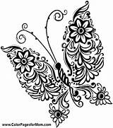 Coloring Butterfly Pages Cute Flower Adults Swirl Pot Clay Intricate Monarch Element Vector Color Drawing Abstract Painting Butterflies Tropical Getcolorings sketch template