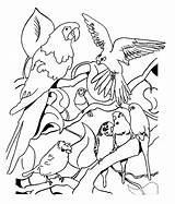 Oiseaux Coloriage Parkieten Vogels Exotiques Perroquet Vogel Colorat Pasari Parkiet Loro Loros Malvorlagen Perroquets Planse Alta Flevokids Erwachsene Ausmalen Pintar sketch template
