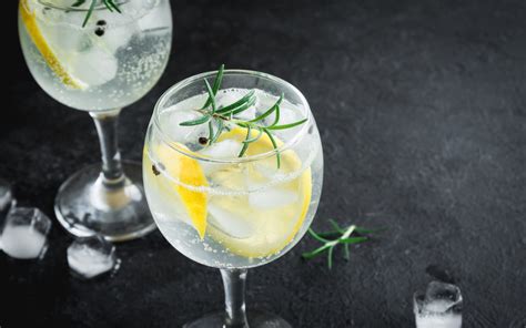 10 drinks com gin que vão te surpreender