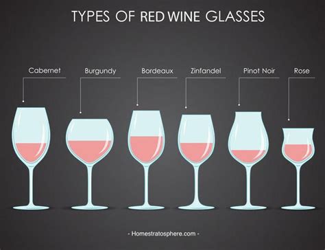 Learn About The 18 Different Types Of Wine Glasses With Photos And