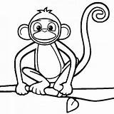 Macaco Bichos Bichinhos sketch template