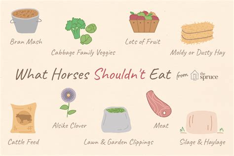 horse shouldnt eat