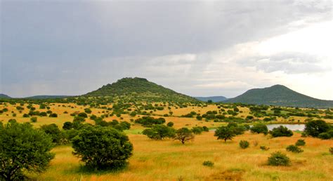 fileupland south africa savannajpg wikimedia commons