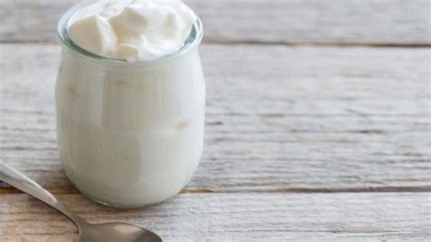 heerlijke recepten met griekse yoghurt libelle