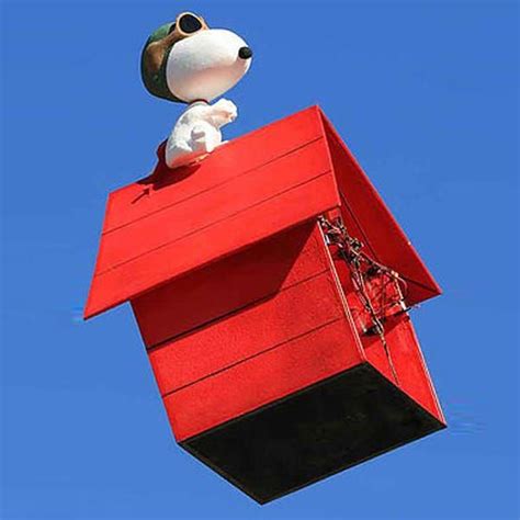 giant bubbles guerilla marketing youtube  red dog aerial photo guerrilla dog houses