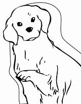 Golden Retriever Coloring Pages Puppy Printable Kids Dog Colouring Color Drawing Clipart Print Animals Clip Getdrawings Library Popular Template sketch template