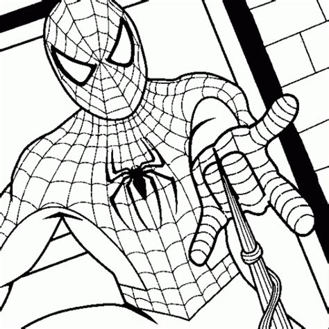 spider web outline   clip art  clip art