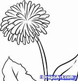 Dandelion Coloring Drawing Pages Draw Dandelions Flower Drawings Getdrawings Cycle Cc Getcolorings Afbeeldingsresultaat Voor Color Printable Step Flowers Prints Blowing sketch template