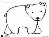 Bear Polar Outline Brown Coloring Printables Printable Worksheets Preschool Pages Pattern Templates Drawing Template Bears Animals Kids Animal Clip Clipart sketch template