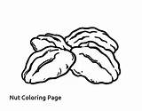 Coloring Peanut Nuts Pages Colorear Butter Deez Getcolorings Coloringcrew Getdrawings Template sketch template