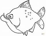 Piranha Coloring Pages Printable Fish Piranhas Color Drawing Designlooter Version Click Ipad Compatible Tablets Android Online Popular sketch template