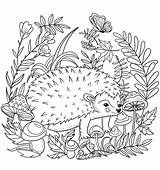 Hedgehog Coloring Dieren Lesya Savane Adamchuk Bos Herisson Coloringpagesfortoddlers Hedgehogs sketch template