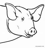 Schwein Gesicht sketch template