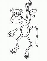 Apen Ausmalbilder Aap Affen Dieren Monkeys Colorare Ausmalbild Affe Mewarnai Coloriages Malvorlagen Animierte Monyet Animasi Singes Slingerende Bergerak Bewegende Animaatjes sketch template