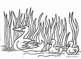 Coloring Pages Ducklings Way Make Child Crafts Easy Cartoon sketch template