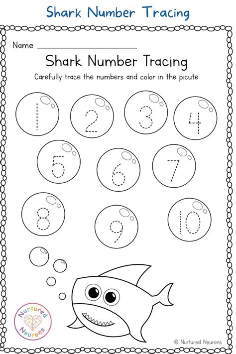 shark worksheets  kindergarten