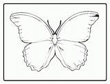 Coloring Butterfly Outline Printable Pages Templates Kids Butterflies Para Popular Desenhos Desenho Coloringhome Library Clipart Pasta Escolha sketch template