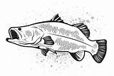 Barramundi Fish Target Fang Ops sketch template