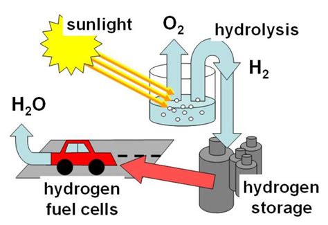 cycle  carbon nitrogen oxygen  hydrogen hubpages
