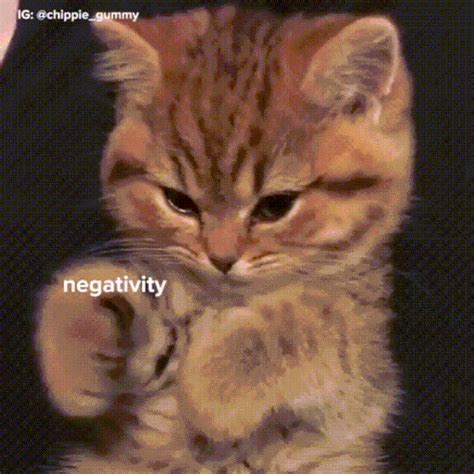 positivity s find and share on giphy