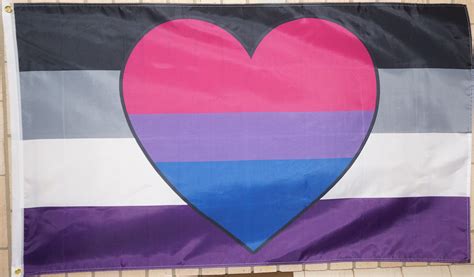 Biromantic Asexual Biace Pride Flag Large 3 X 5 Etsy