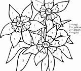 Color Number Pages Coloring Hard Key Really Getcolorings Numbers Flower sketch template