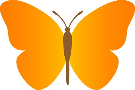 simple butterfly clipart  getdrawings