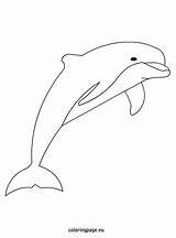 Dolphin Drawing Line Coloring Draw Drawings Coloringpage Eu Kids Getdrawings Choose Board Step Mermaids sketch template