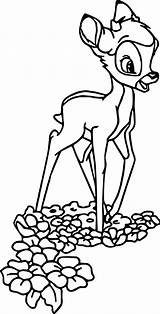 Bambi Coloring Pages Flowers Wecoloringpage sketch template