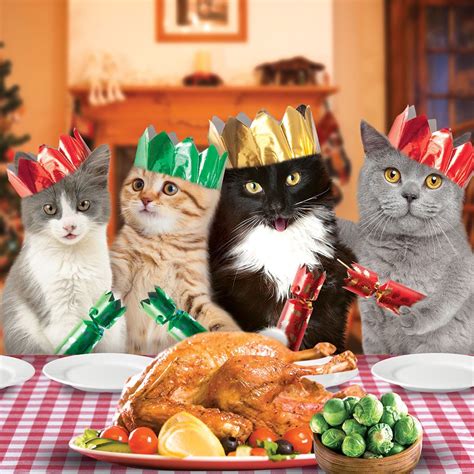 Festive Cats Xmas Turkey Dinner Party Magic Single