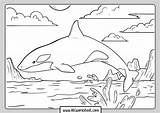 Orca Whale Abcworksheet sketch template