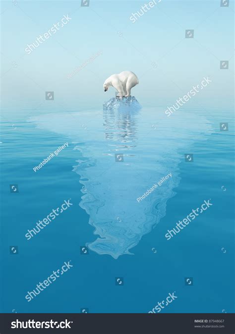 polar bear  iceberg stock photo  shutterstock