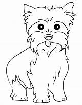 Yorkie Coloring Pages Yorkshire Terrier Dog Printable Puppy Color Drawing Teacup Puppies Colouring Print Yorkies Maltese High Dessin Dogs Cute sketch template