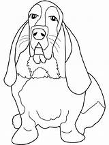 Hound Coloring Beagle Pages Dog Basset Bassett Dogs Book Drawing Coon Printable Color Adults Colouring Miniature Schnauzer Getcolorings Books Print sketch template