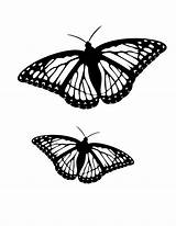 Butterfly Coloring Pages Butterflies Pair sketch template