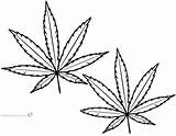 Leaf Weed Coloring Drawing Marijuana Pages Easy Pot Printable Template Leaves Hemp Cannabis Drawings Print Clipartmag Step Kids Paintingvalley Templates sketch template