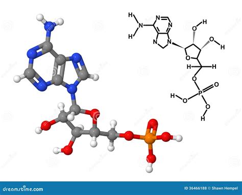 molécula da vitamina b8 com fórmula química ilustração stock