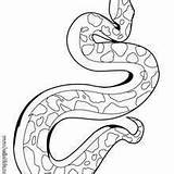 Coloring Hellokids Ausmalen Schlange Snakes Reptiles Schlangen sketch template