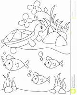 Pond Coloring Pages Royalty Habitat Printable Animals Color Animal Arctic Getcolorings Getdrawings Plants Template sketch template