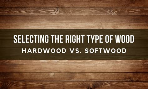 selecting the right type of wood pt 1 hardwood vs softwood