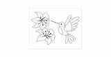 Hummingbird Coloring Stamp Rubber Flowers sketch template