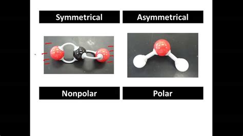 polar   polar molecules  level worksheet austins store