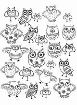 Hibou Colorare Owls Doodling Adultos Coloriages Chouette Disegni Adulti Gufi Malbuch Erwachsene Eulen Hiboux Doodles Chouettes Justcolor Gekritzel Primanyc Jolis sketch template