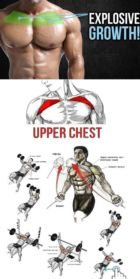 How To Upper Chest Lizbon Chest Workout Routine Best Chest Workout