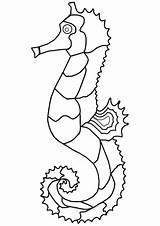 Seahorse Marinho Cavalo Zeepaardje Kleurplaat Konik Morski Seepferdchen Kleurplaten Disegno Desenho Marino Cavalluccio Supercoloring Ausmalbild Zeichnen Categorias sketch template