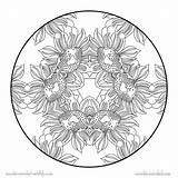 Mandala Sunflower Cannas sketch template