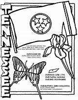 Tennessee Vols Crayola Vermont Printables Symbols sketch template