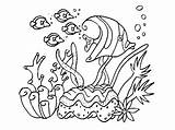 Aquarium Drawing Kids Coloring Background Tank Fish sketch template