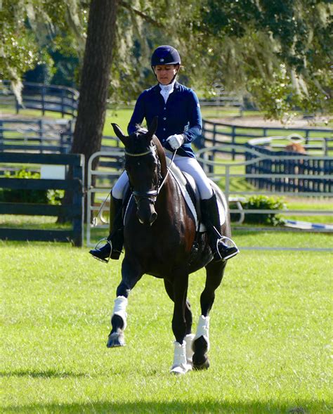 dressage enthusiasts find ocala fl  perfect place